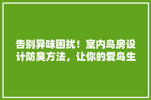 告别异味困扰！室内鸟房设计防臭方法，让你的爱鸟生活更美好