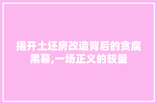 揭开土坯房改造背后的贪腐黑幕,一场正义的较量
