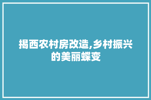 揭西农村房改造,乡村振兴的美丽蝶变