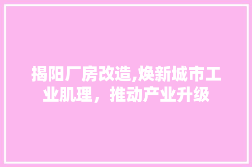 揭阳厂房改造,焕新城市工业肌理，推动产业升级