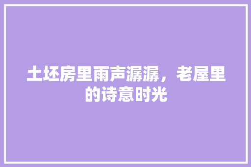 土坯房里雨声潺潺，老屋里的诗意时光