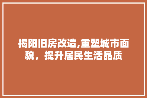 揭阳旧房改造,重塑城市面貌，提升居民生活品质