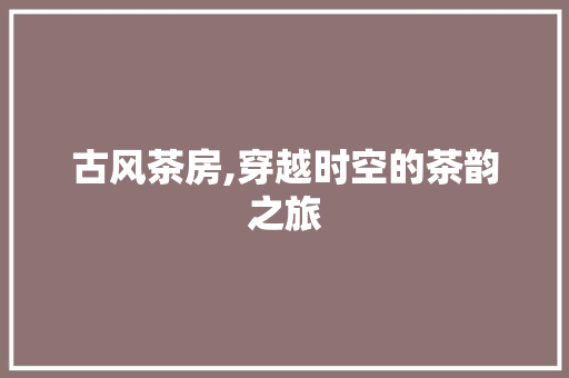 古风茶房,穿越时空的茶韵之旅