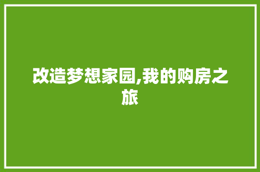 改造梦想家园,我的购房之旅