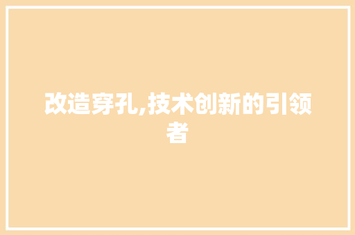 改造穿孔,技术创新的引领者