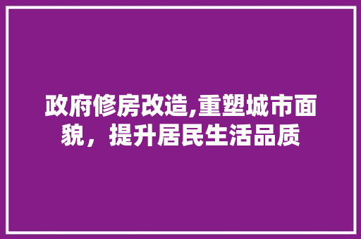 政府修房改造,重塑城市面貌，提升居民生活品质