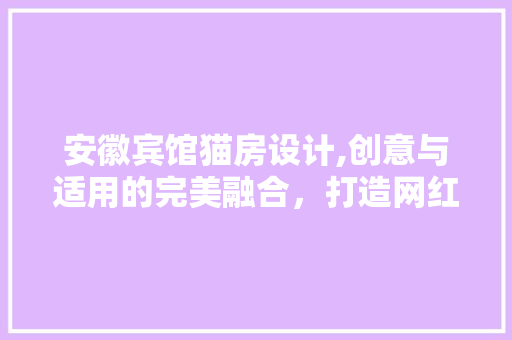 安徽宾馆猫房设计,创意与适用的完美融合，打造网红打卡新地标