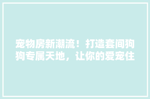 宠物房新潮流！打造套间狗狗专属天地，让你的爱宠住进“豪华版”宠物房！