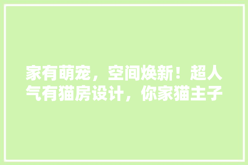 家有萌宠，空间焕新！超人气有猫房设计，你家猫主子也能住上五星级的家！