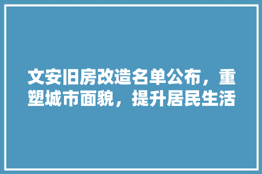 文安旧房改造名单公布，重塑城市面貌，提升居民生活品质