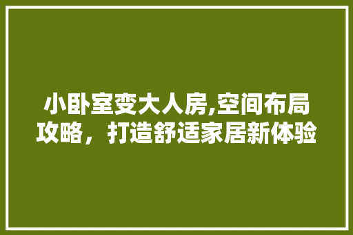 小卧室变大人房,空间布局攻略，打造舒适家居新体验
