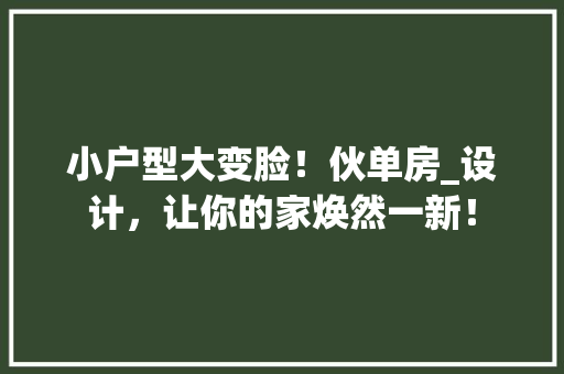 小户型大变脸！伙单房_设计，让你的家焕然一新！