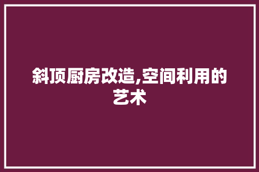 斜顶厨房改造,空间利用的艺术