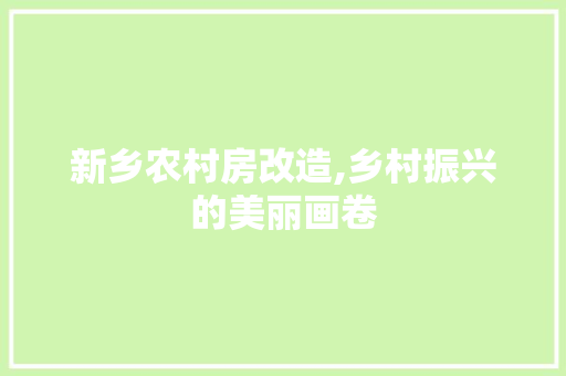新乡农村房改造,乡村振兴的美丽画卷
