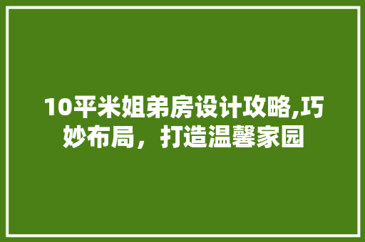 10平米姐弟房设计攻略,巧妙布局，打造温馨家园