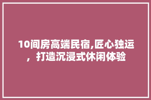 10间房高端民宿,匠心独运，打造沉浸式休闲体验