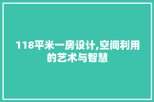 118平米一房设计,空间利用的艺术与智慧