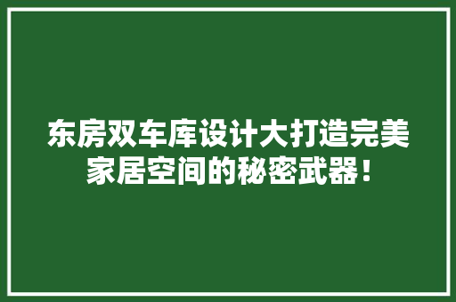 东房双车库设计大打造完美家居空间的秘密武器！