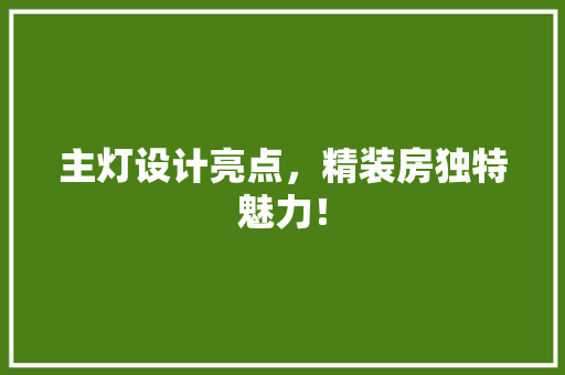 主灯设计亮点，精装房独特魅力！