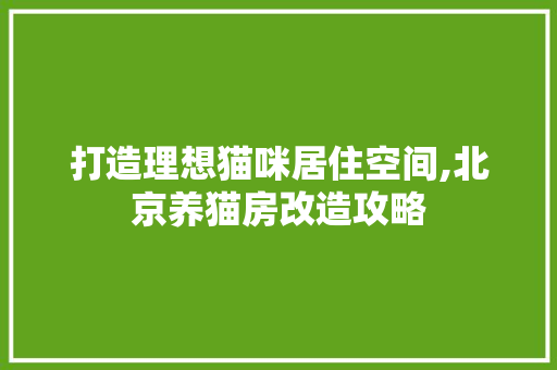 打造理想猫咪居住空间,北京养猫房改造攻略