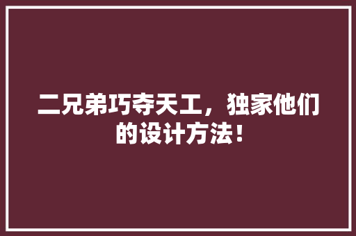 二兄弟巧夺天工，独家他们的设计方法！