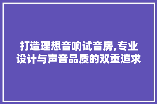 打造理想音响试音房,专业设计与声音品质的双重追求