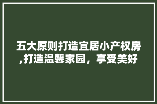五大原则打造宜居小产权房,打造温馨家园，享受美好生活