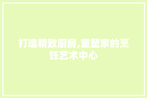 打造精致厨房,重塑家的烹饪艺术中心