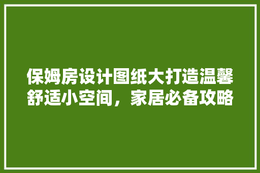 保姆房设计图纸大打造温馨舒适小空间，家居必备攻略！