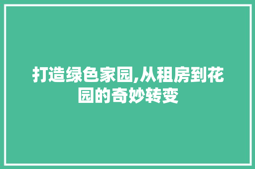 打造绿色家园,从租房到花园的奇妙转变