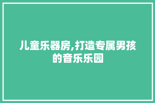 儿童乐器房,打造专属男孩的音乐乐园