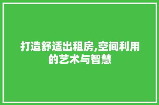 打造舒适出租房,空间利用的艺术与智慧