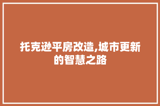 托克逊平房改造,城市更新的智慧之路