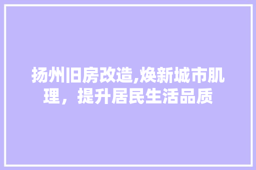 扬州旧房改造,焕新城市肌理，提升居民生活品质