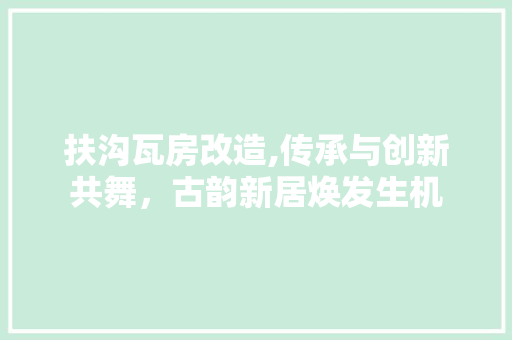 扶沟瓦房改造,传承与创新共舞，古韵新居焕发生机