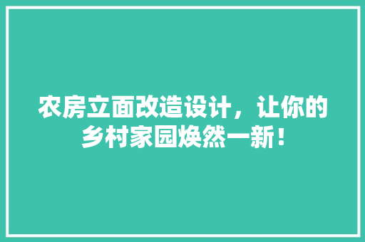 农房立面改造设计，让你的乡村家园焕然一新！