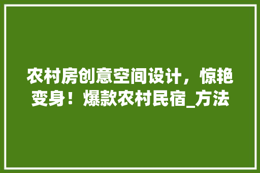 农村房创意空间设计，惊艳变身！爆款农村民宿_方法！