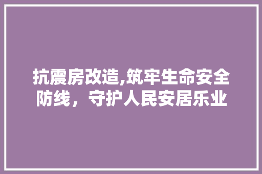 抗震房改造,筑牢生命安全防线，守护人民安居乐业