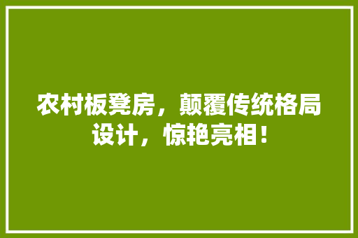 农村板凳房，颠覆传统格局设计，惊艳亮相！