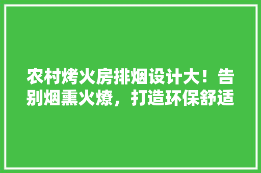 农村烤火房排烟设计大！告别烟熏火燎，打造环保舒适家居生活！