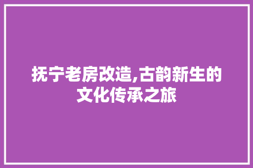 抚宁老房改造,古韵新生的文化传承之旅