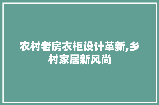 农村老房衣柜设计革新,乡村家居新风尚