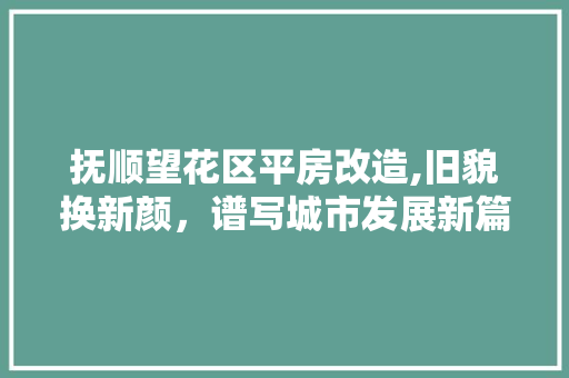 抚顺望花区平房改造,旧貌换新颜，谱写城市发展新篇章