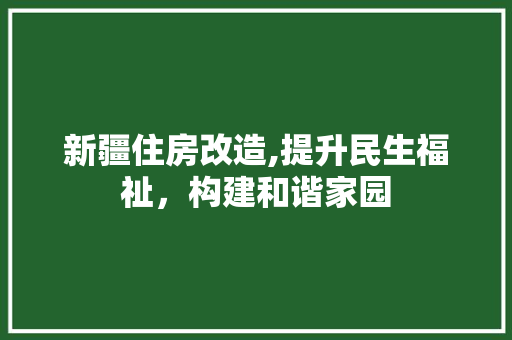 新疆住房改造,提升民生福祉，构建和谐家园