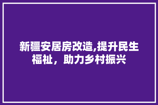 新疆安居房改造,提升民生福祉，助力乡村振兴