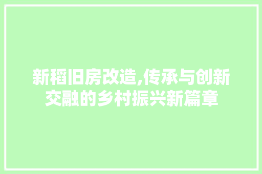 新稻旧房改造,传承与创新交融的乡村振兴新篇章