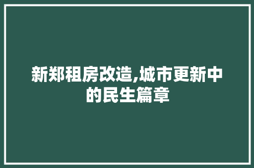 新郑租房改造,城市更新中的民生篇章