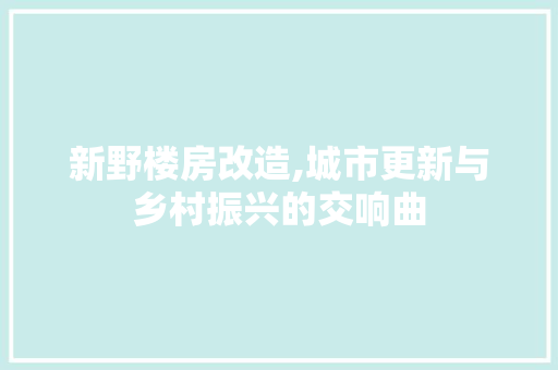 新野楼房改造,城市更新与乡村振兴的交响曲