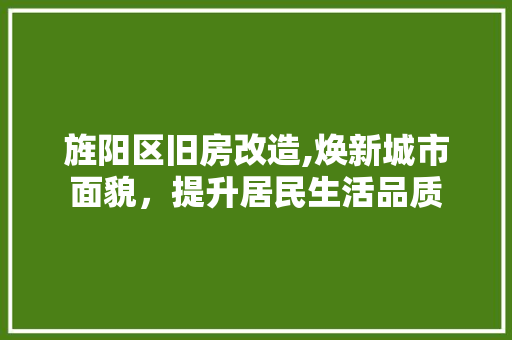 旌阳区旧房改造,焕新城市面貌，提升居民生活品质