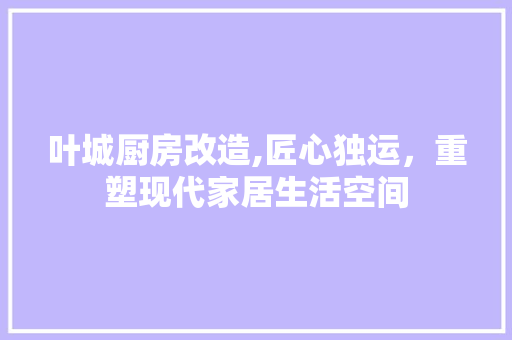 叶城厨房改造,匠心独运，重塑现代家居生活空间